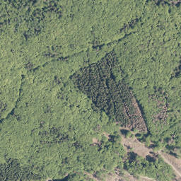 Satellite imagery of Weidelbacher Haupt, DE