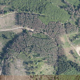 Satellite imagery of Buhlberg, DE