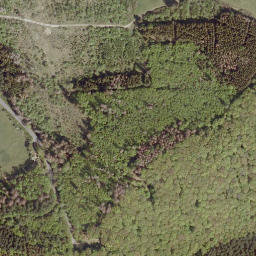 Satellite imagery of Buhlberg, DE