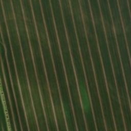 Satellite imagery of Geierhügel, DE