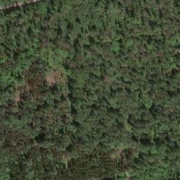 Satellite imagery of Kellnersberg, DE