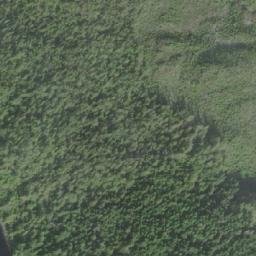 Satellite imagery of Bedwell Point, CA