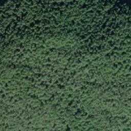 Satellite imagery of Ellen Point, CA