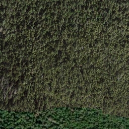 Satellite imagery of Adams Hill, CA