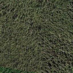 Satellite imagery of Adams Hill, CA