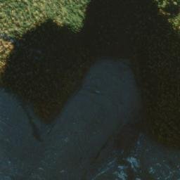 Satellite imagery of Split Peak, CA
