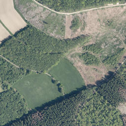 Satellite imagery of Höhhain, DE
