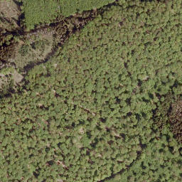 Satellite imagery of Struthberg, DE