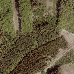 Satellite imagery of Mittelhardt, DE