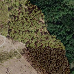 Satellite imagery of Mittelhardt, DE