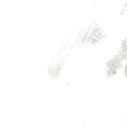 Satellite imagery of Mount Appalus, CA