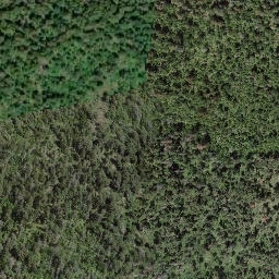 Satellite imagery of Adams Hill, CA