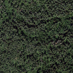 Satellite imagery of Cruickshank Point, CA