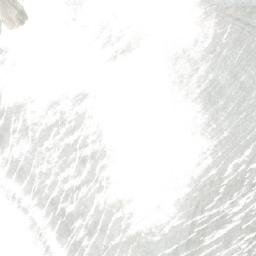 Satellite imagery of Joust Mountain, CA