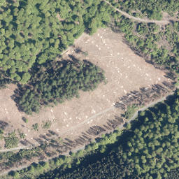 Satellite imagery of Wiedehuck, DE