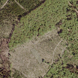 Satellite imagery of Struthberg, DE