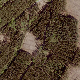 Satellite imagery of Mittelhardt, DE