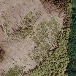 Satellite imagery of Mittelhardt, DE