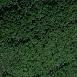 Satellite imagery of Altenberg, DE