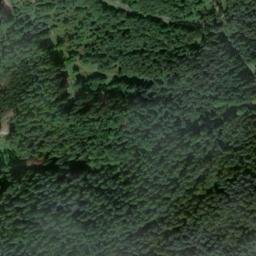 Satellite imagery of Wackenbühl, DE