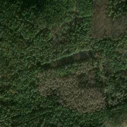 Satellite imagery of Johannisberg, DE