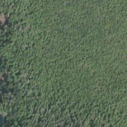 Satellite imagery of Godkin Point, CA