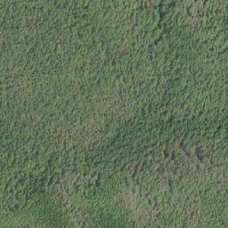 Satellite imagery of Godkin Point, CA