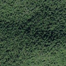Satellite imagery of Olivia Point, CA