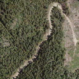Satellite imagery of Adams Hill, CA