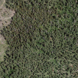 Satellite imagery of Adams Hill, CA