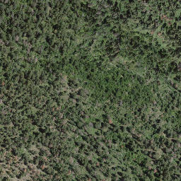 Satellite imagery of Adams Hill, CA