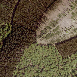 Satellite imagery of Mittelhardt, DE