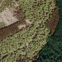 Satellite imagery of Mittelhardt, DE