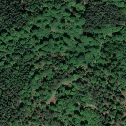 Satellite imagery of Kohlkopf, DE