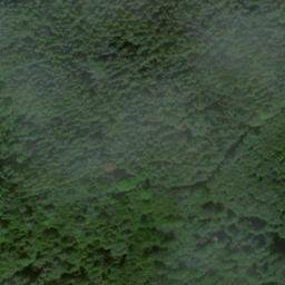 Satellite imagery of Wackenbühl, DE