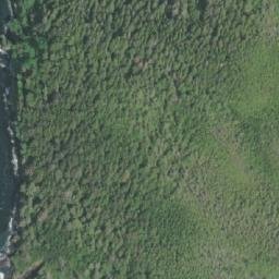 Satellite imagery of Godkin Point, CA