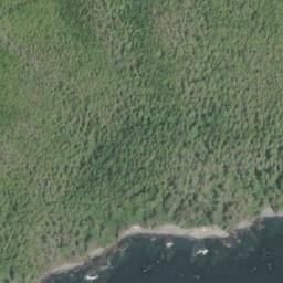 Satellite imagery of Godkin Point, CA