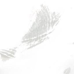 Satellite imagery of Dorsal Peak, CA