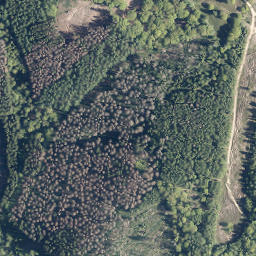 Satellite imagery of Wurmberg, DE