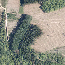 Satellite imagery of Wurmberg, DE