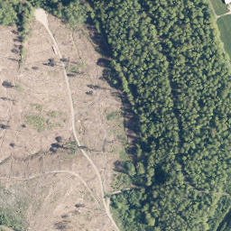 Satellite imagery of Wurmberg, DE