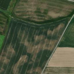 Satellite imagery of Panków  Ruiny renesansowo-barokowego zamku., PL