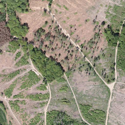 Satellite imagery of Harich, DE