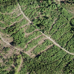 Satellite imagery of Hollenstein, DE