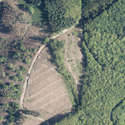 Satellite imagery of Trulichsberg, DE