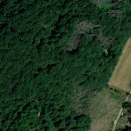Satellite imagery of Reichsbühl, DE