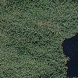 Satellite imagery of Mount Plumridge, CA