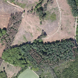 Satellite imagery of Harich, DE
