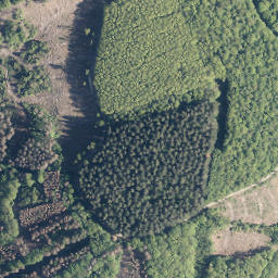 Satellite imagery of Trulichsberg, DE