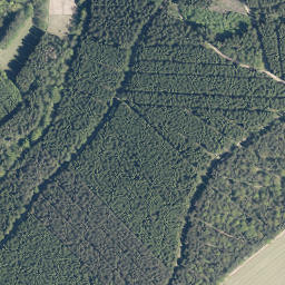 Satellite imagery of Höhkopf, DE